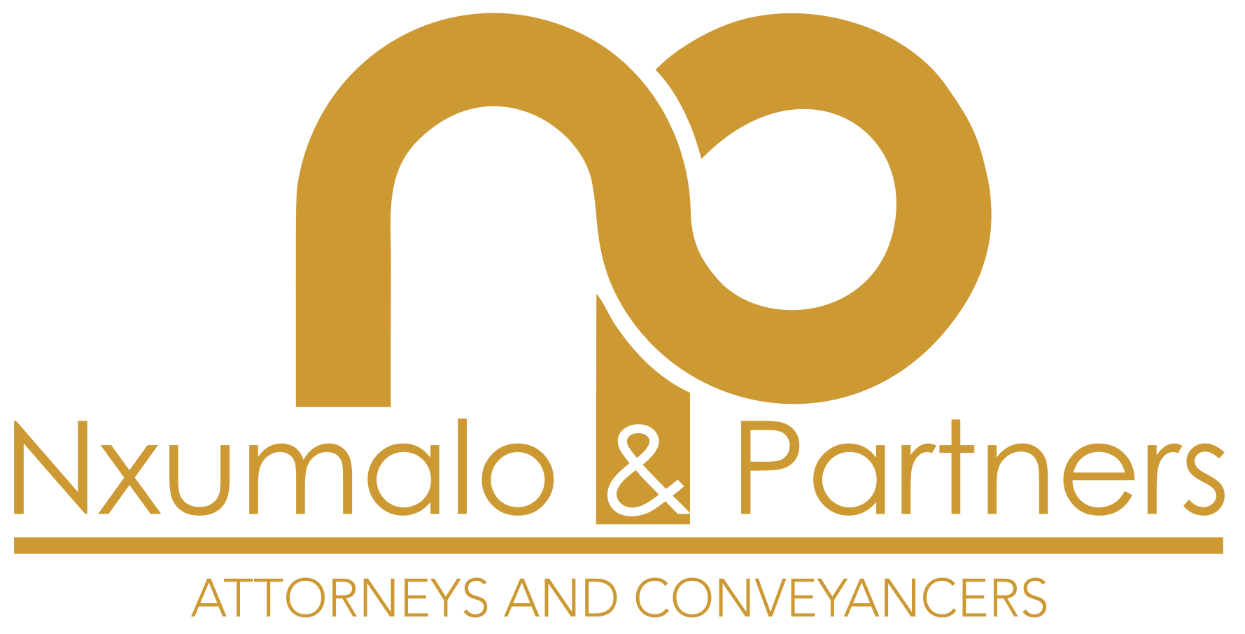 NP Logo